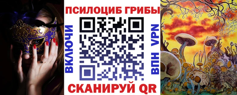 Купить закладки  Павлово  Псилоцибиновые грибы Psilocybine cubensis 
